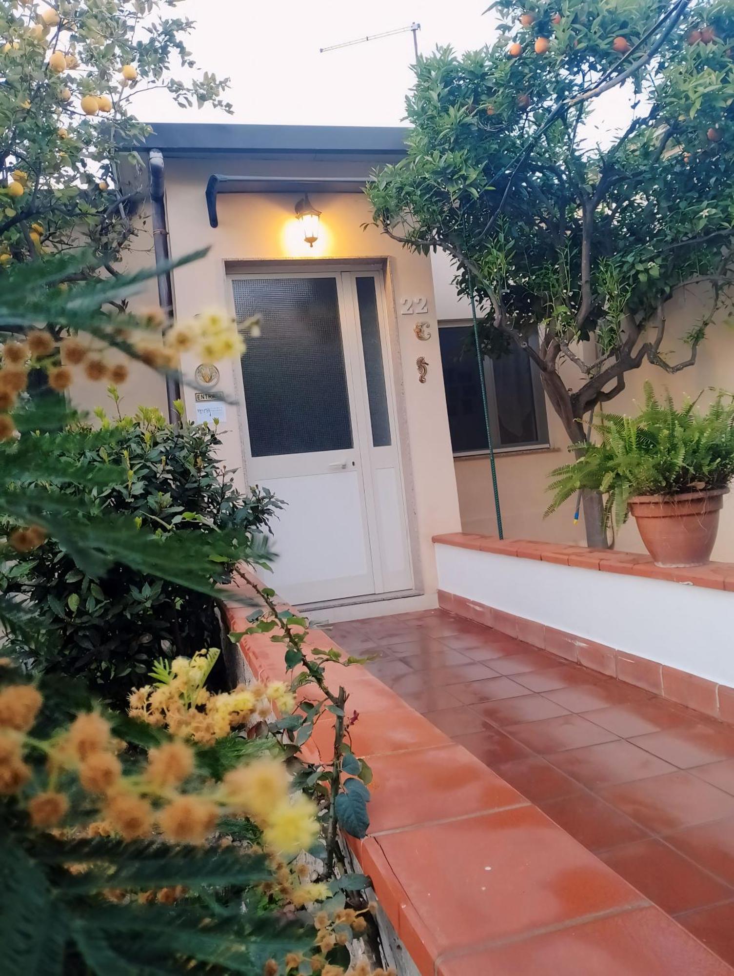 锡拉库扎Nel Giardino Di Nunziatina公寓 外观 照片