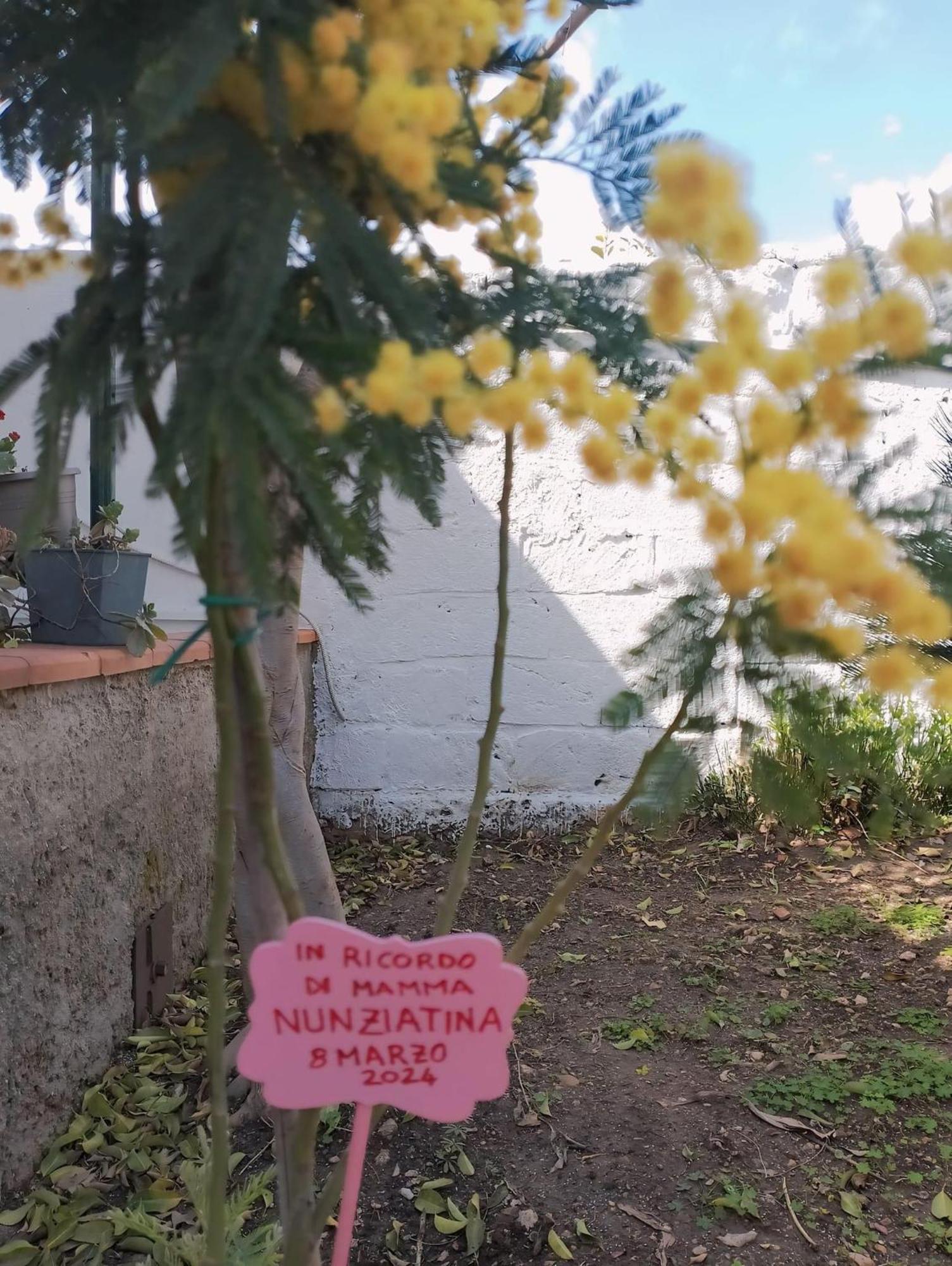 锡拉库扎Nel Giardino Di Nunziatina公寓 外观 照片