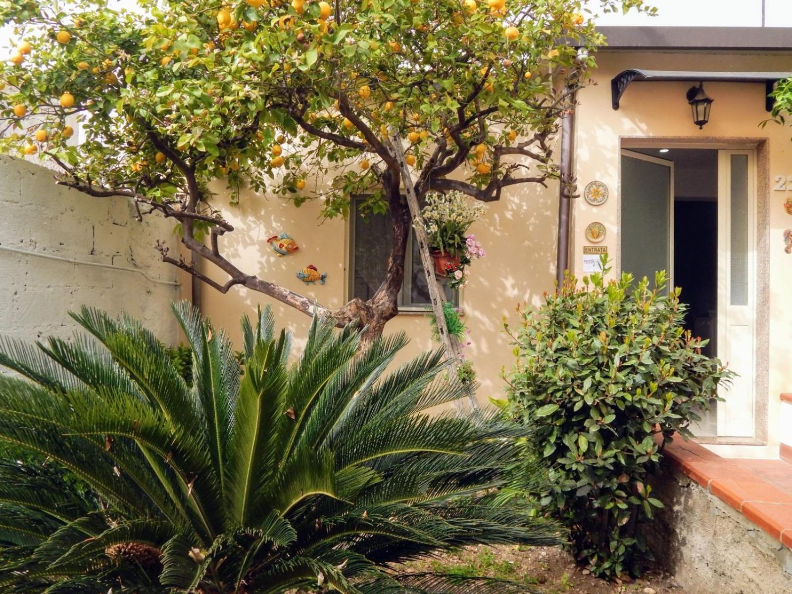 锡拉库扎Nel Giardino Di Nunziatina公寓 外观 照片
