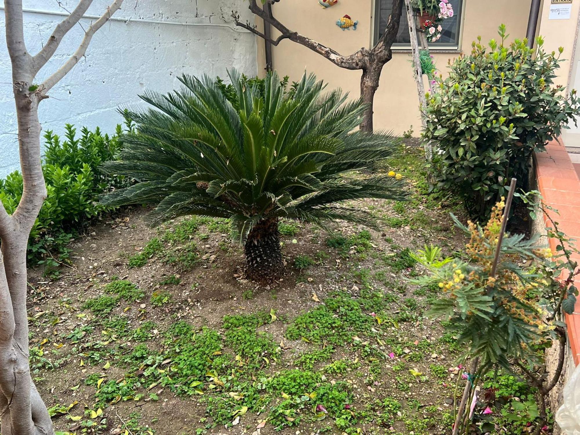 锡拉库扎Nel Giardino Di Nunziatina公寓 外观 照片